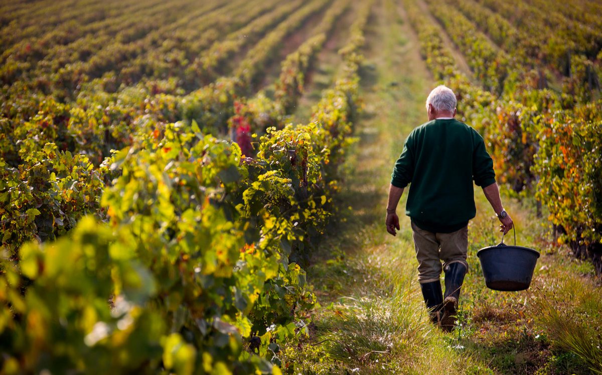 domaine valario