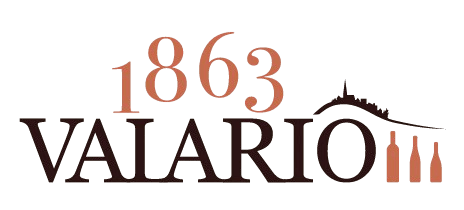 logo valario color