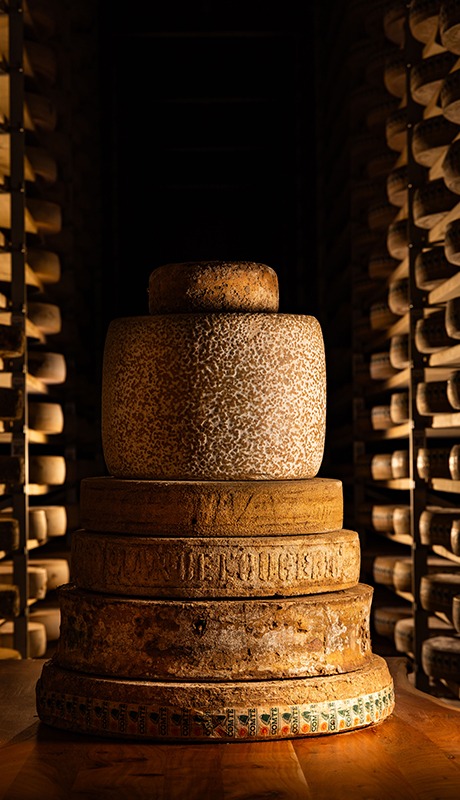 photo de plusieurs fromage matures